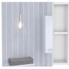 20" White Wood Freestanding Single Door Bathroom Vanity And Medicine Cabinet With Mirror